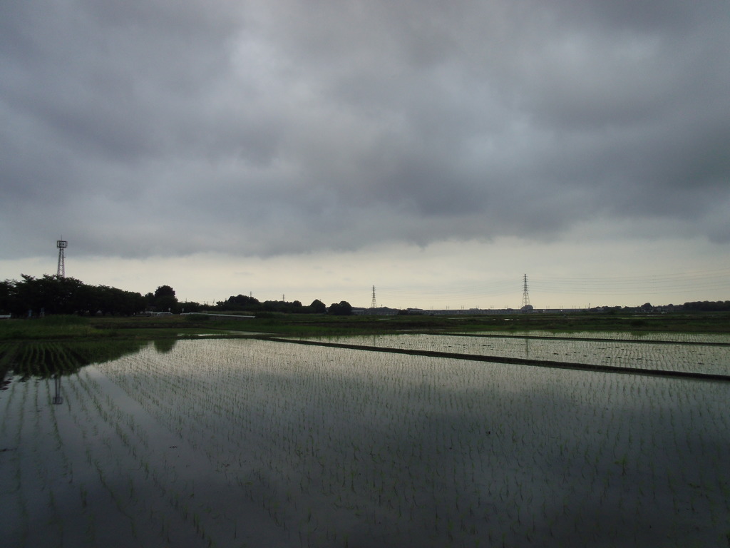 2017/05/27_水田の曇天