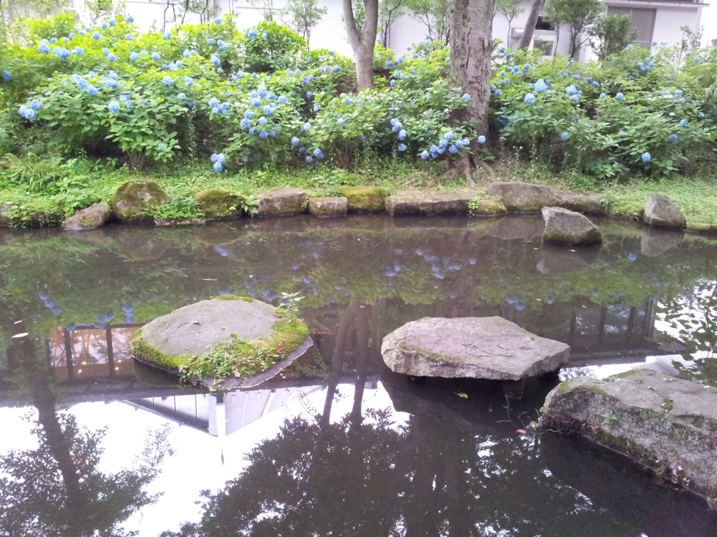 2016/07/16_盛岡城跡公園（岩手公園）鶴ケ池