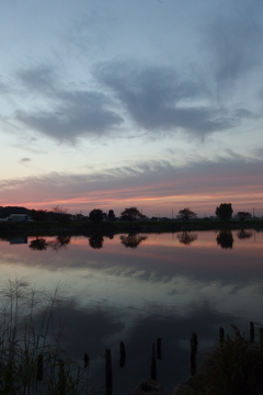 2015/10/03_柴山沼の夕暮れ