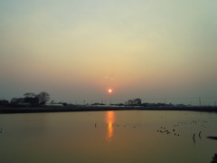 2017/03/19_溜め池の夕日