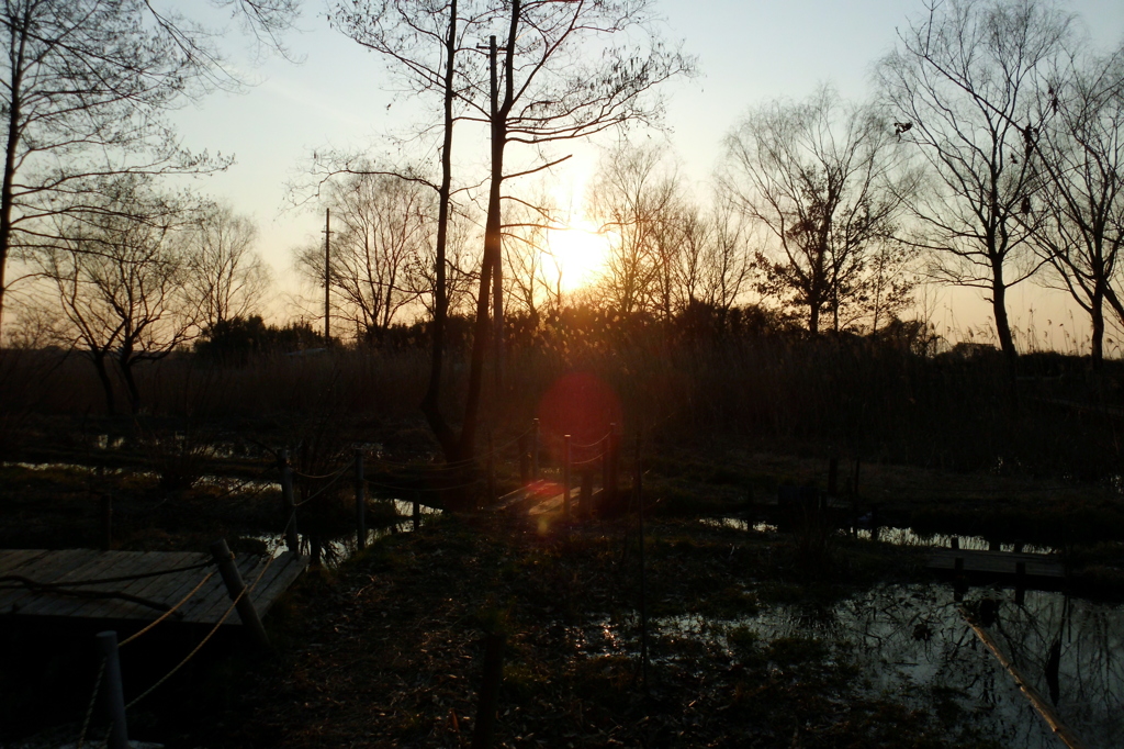 2015/02/11_ホタルの里