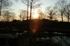 2015/02/11_ホタルの里