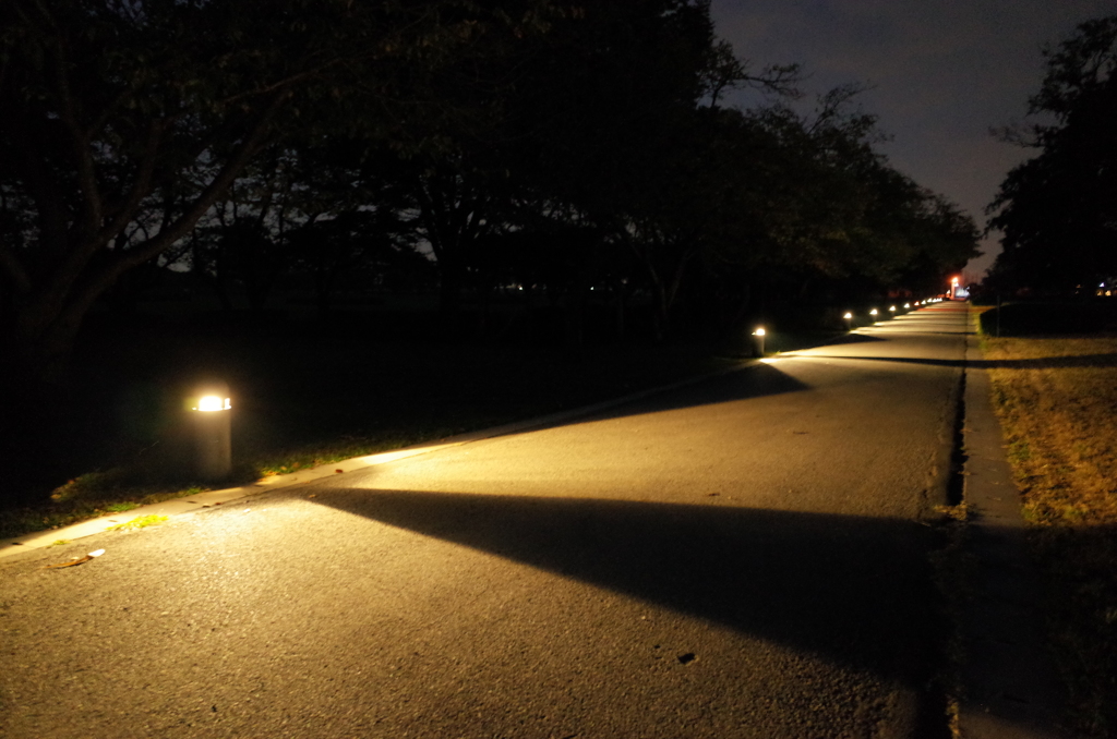 2014/10/19_夜のさきたま古墳公園