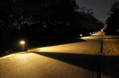 2014/10/19_夜のさきたま古墳公園