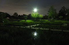 2015/10/04_夕暮れの平成の森公園