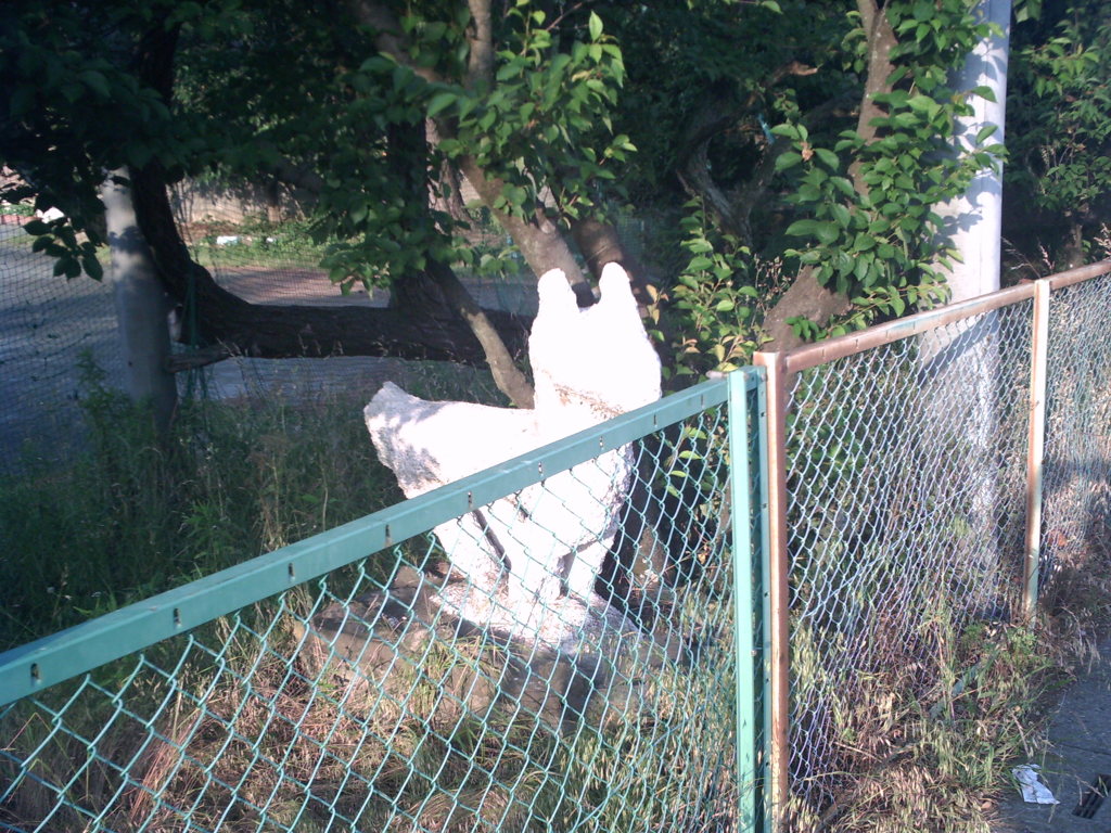 2017/06/11_校庭の片隅にいる動物