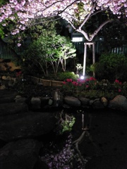 2019/04/15_御徒町公園の夜桜