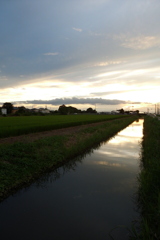 2016/08/21_用水路の夕暮れ