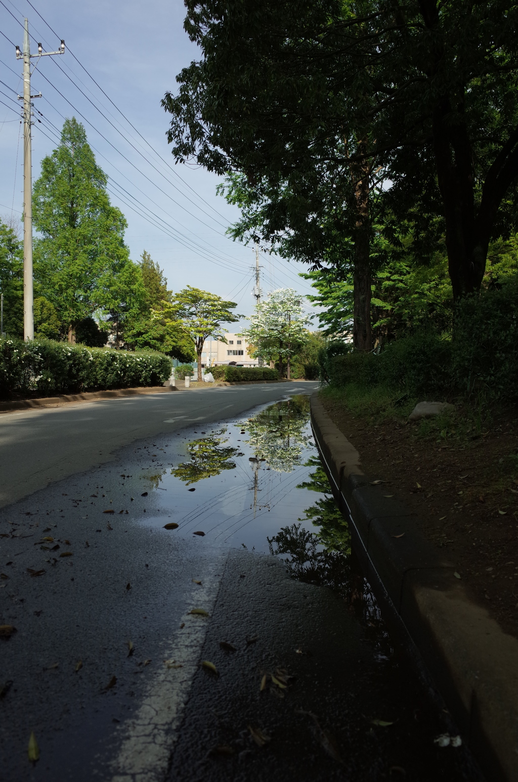 2015/04/29_伊奈町制施行記念公園の水たまり