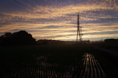 2015/06/27_水田の夕暮れ