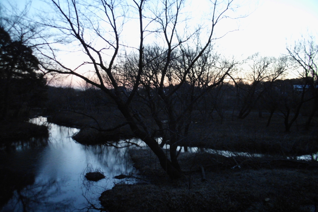 2015/02/15_夕暮れの秋葉の森総合公園