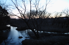 2015/02/15_夕暮れの秋葉の森総合公園