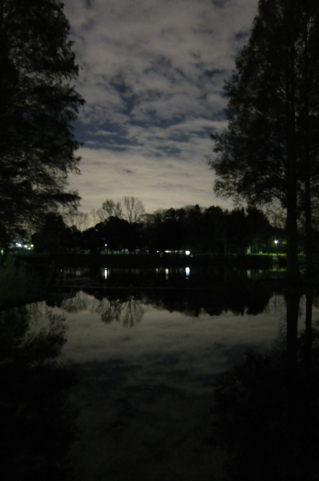 2014/12/06_夜の北本総合公園