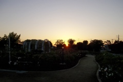2015/10/18_伊奈バラ園の夕暮れ