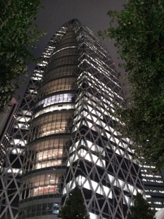 2015/10/23_夜のモード学園コクーンタワー