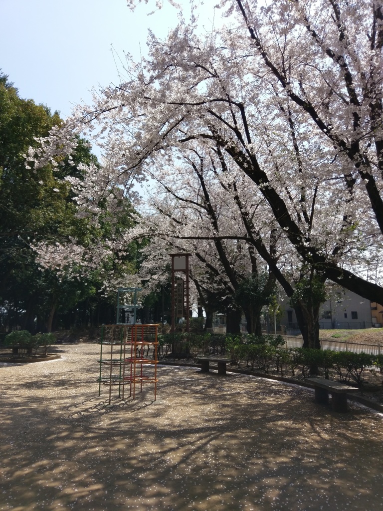 2019/04/06_氷川児童公園の桜
