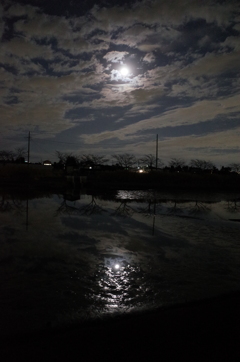 2014/12/07_月夜の伊佐沼
