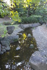 2015/11/03_岩槻城址公園