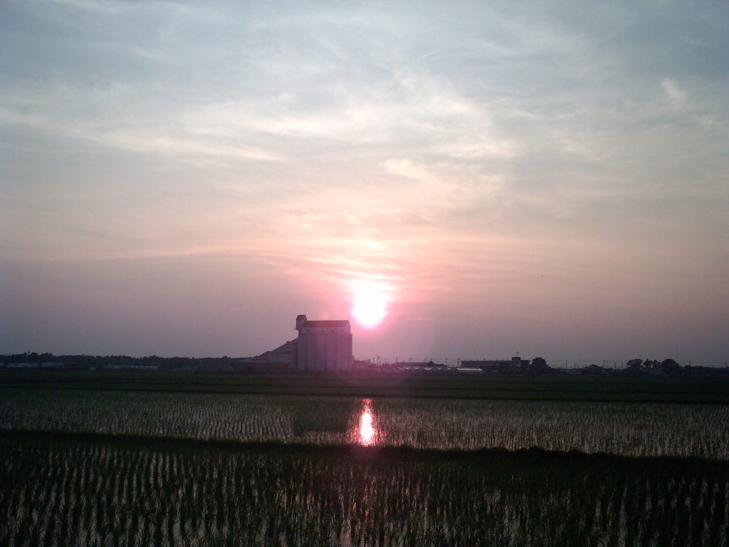 2015/07/12_水田の夕暮れ
