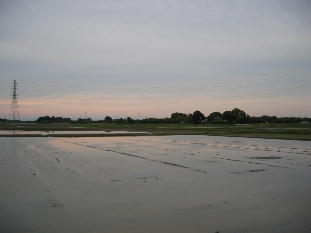 2017/05/03_水田の夕暮れ