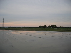 2017/05/03_水田の夕暮れ