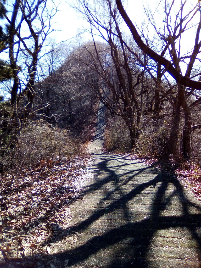 2017/12/30_登谷山への道