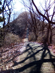 2017/12/30_登谷山への道