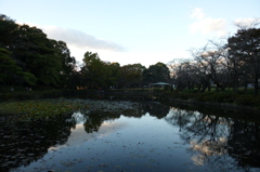 2015/11/03_岩槻城址公園
