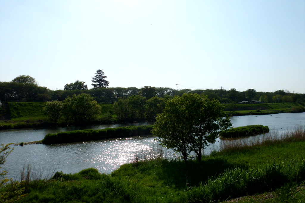 2015/04/26_光る中川