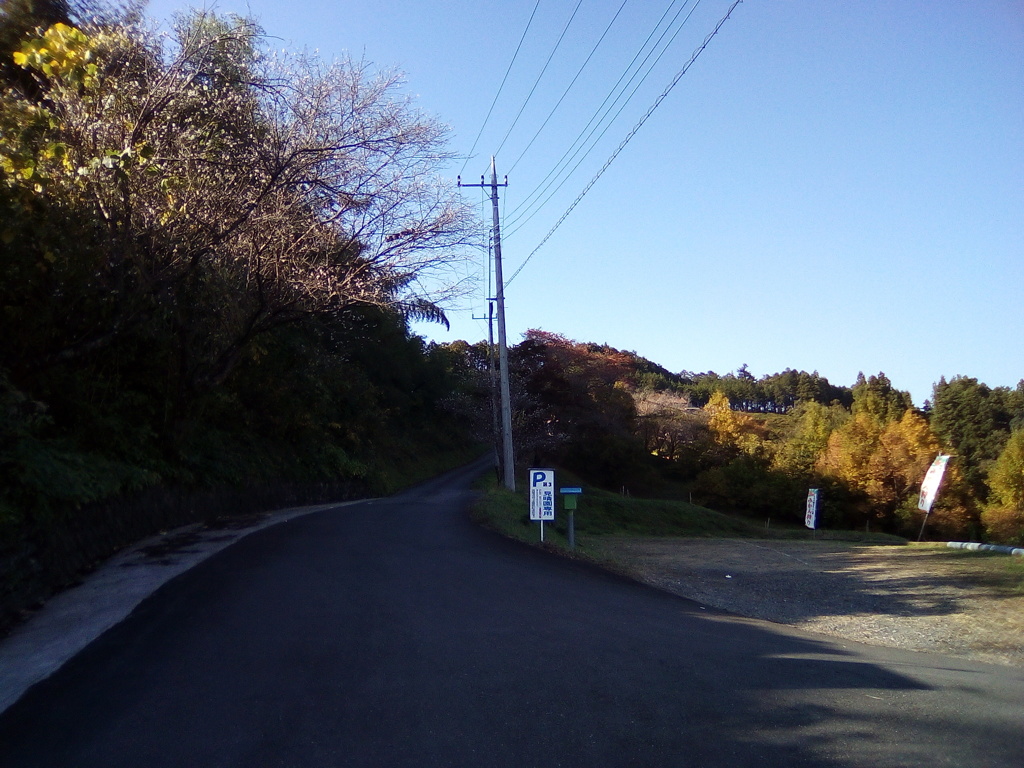 2018/11/11_外秩父山中の冬桜