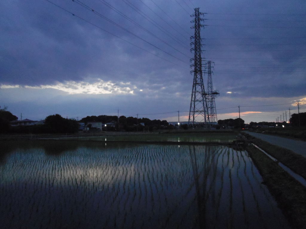 2017/06/10_水田の夕暮れ
