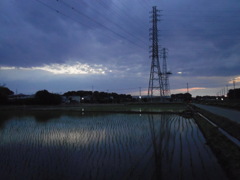 2017/06/10_水田の夕暮れ