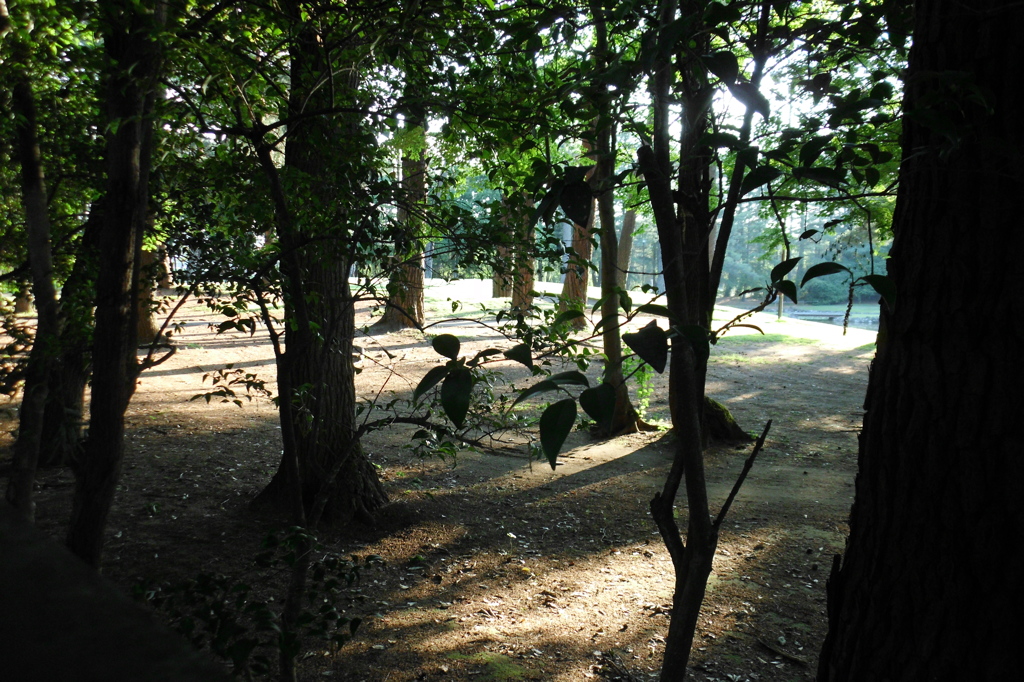 2015/05/24_夕暮れのゴルフ場