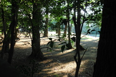 2015/05/24_夕暮れのゴルフ場