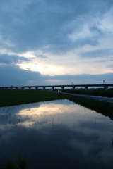 2016/07/23_水田の夕暮れ