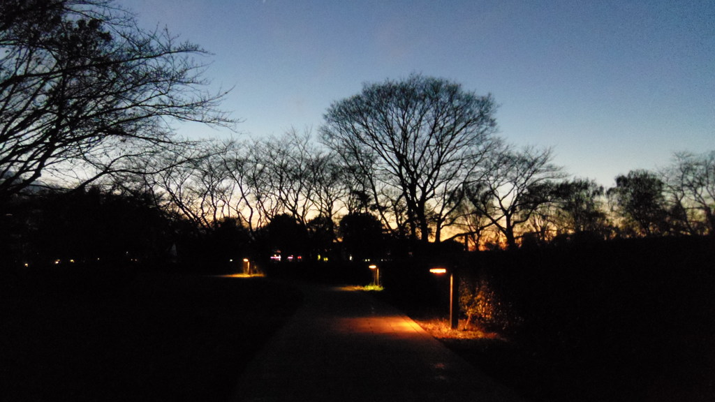 2013/12/08_夜のさきたま古墳公園