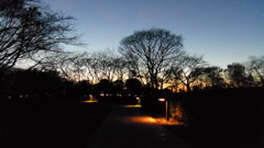 2013/12/08_夜のさきたま古墳公園