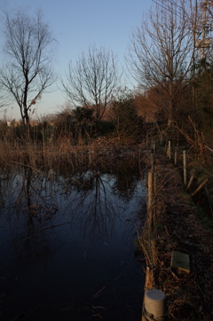 2015/02/11_ホタルの里