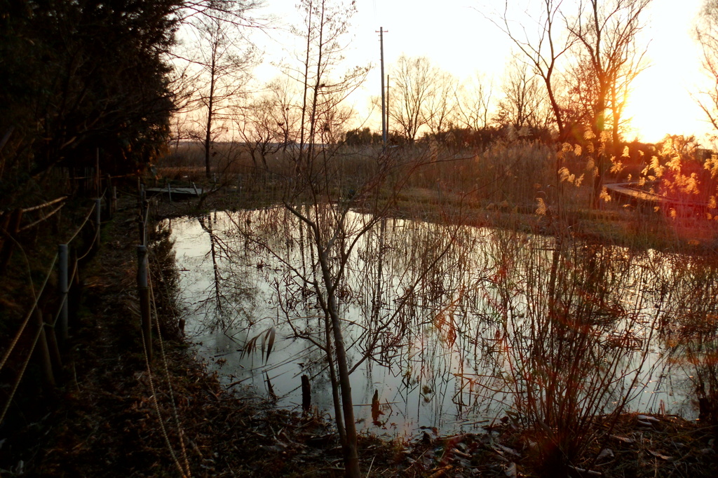 2015/02/11_ホタルの里