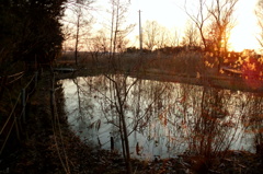 2015/02/11_ホタルの里