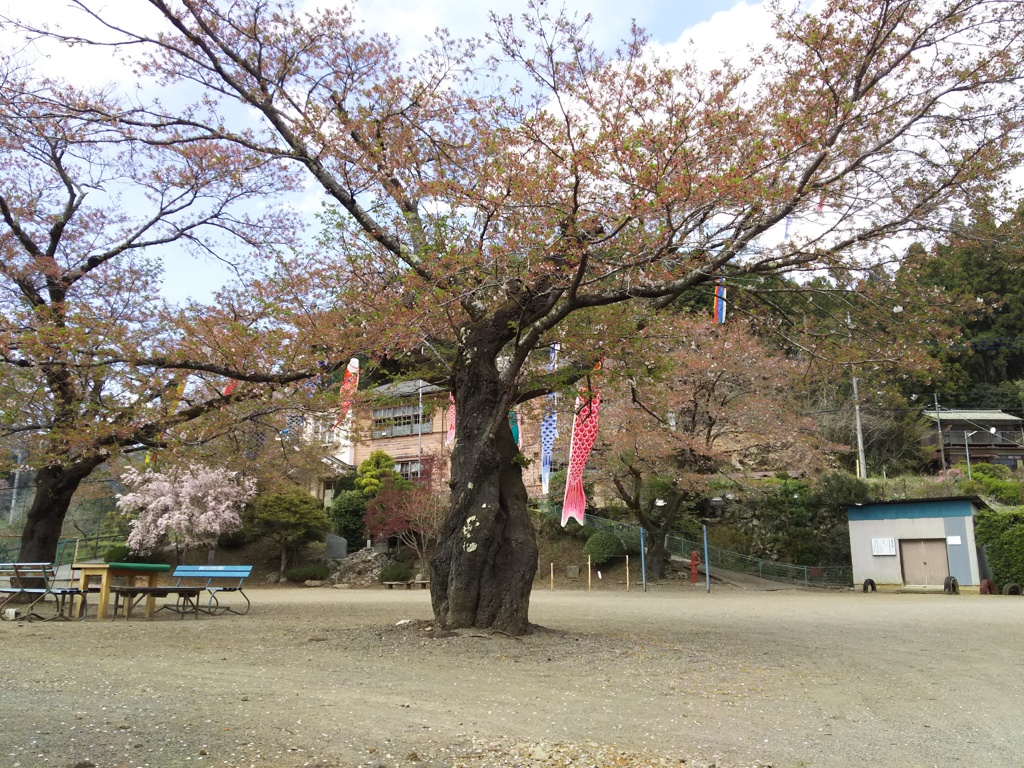 2018/04/08_旧南川小学校