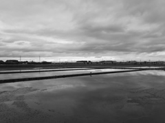 2017/05/14_水田の曇天