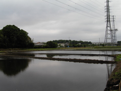 2017/05/27_水田の曇天