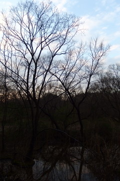 2016/03/26_北本自然観察公園