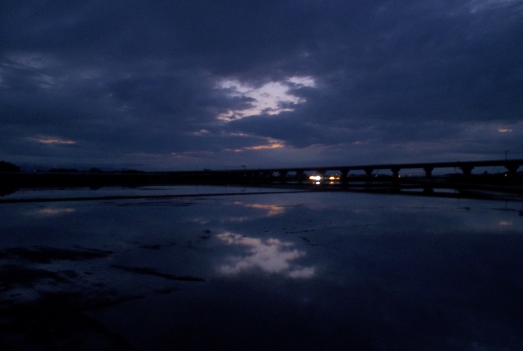 2015/06/21_水田の夕暮れ