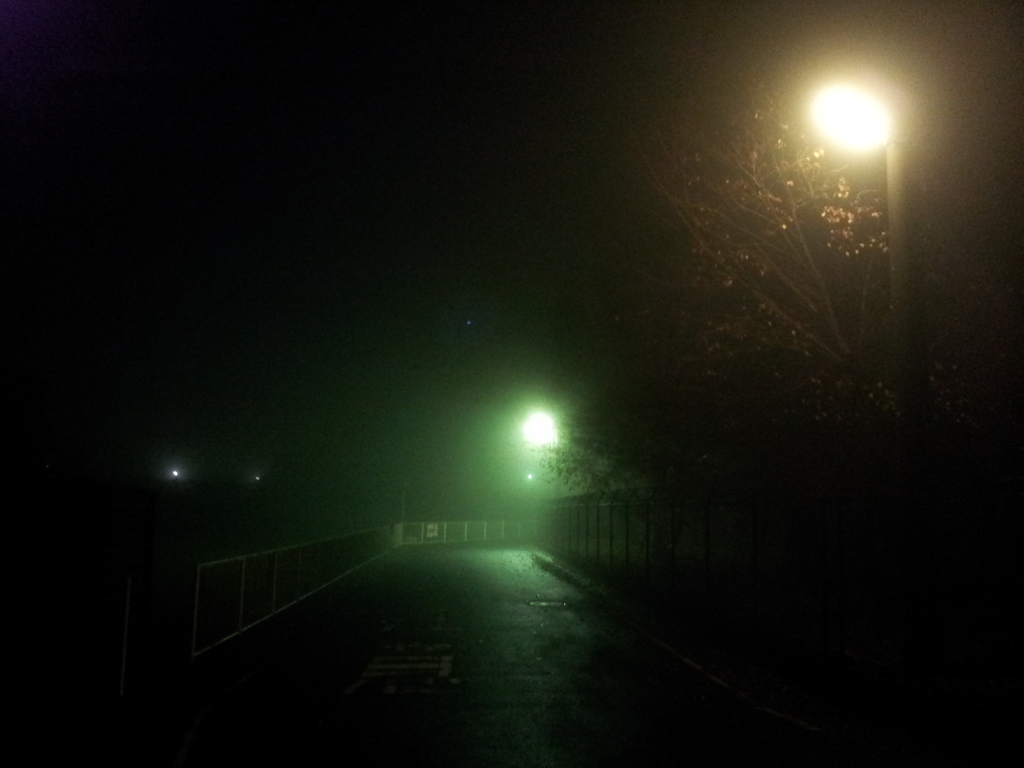 2014/11/29_霧の夜道