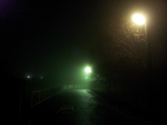 2014/11/29_霧の夜道
