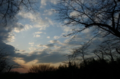 2016/03/26_北本自然観察公園の夕空