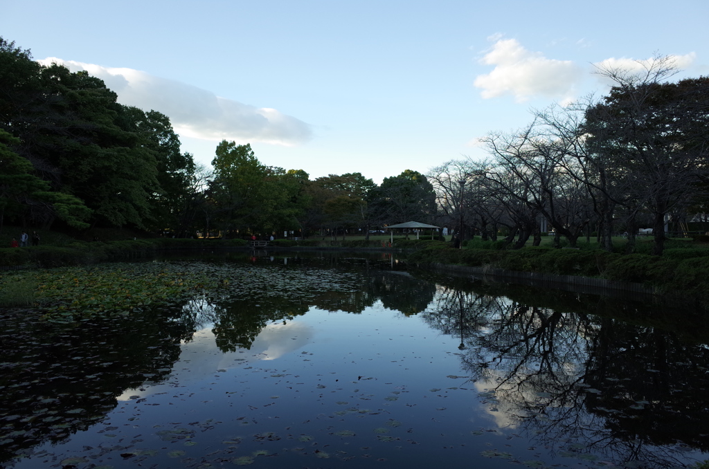 2015/11/03_岩槻城址公園