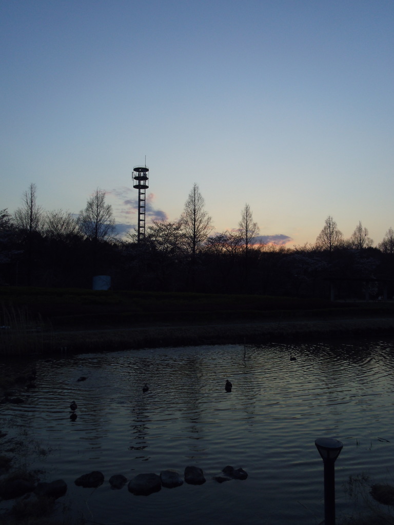 2017/04/02_花の丘農林公苑の夕暮れ
